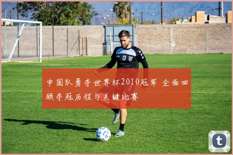 中国队勇夺世界杯2010冠军 全面回顾夺冠历程与关键比赛