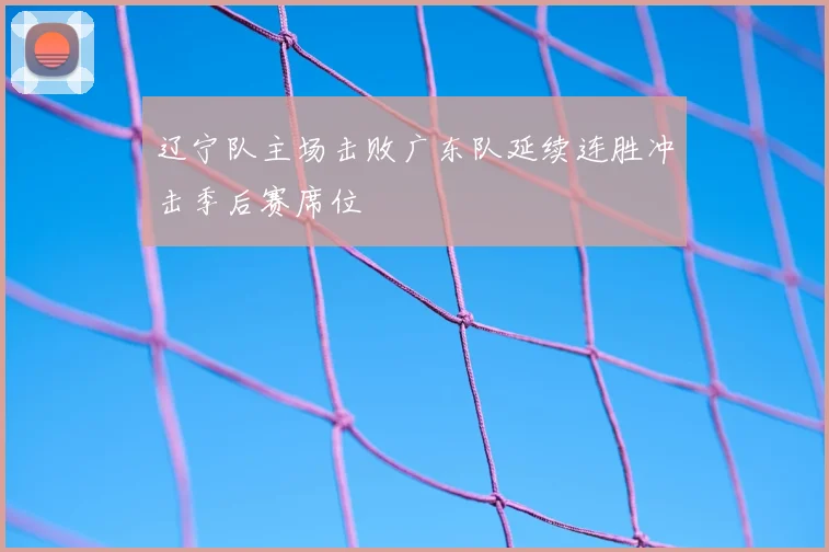 辽宁队主场击败广东队延续连胜冲击季后赛席位