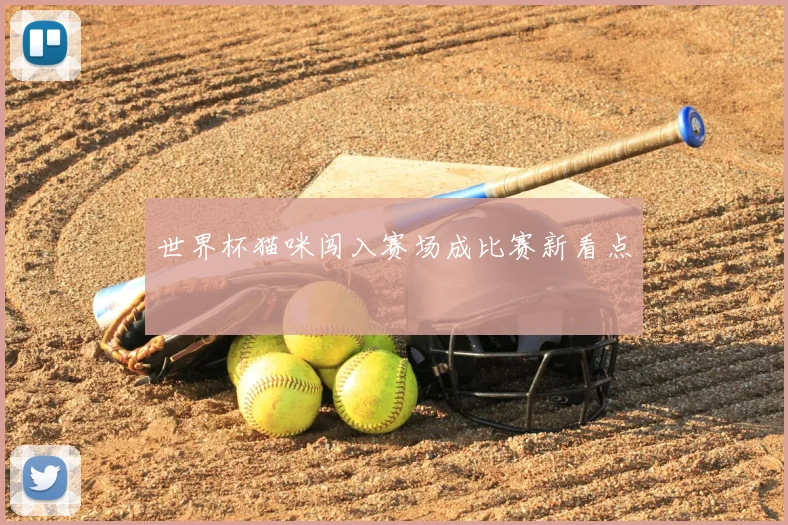 世界杯猫咪闯入赛场成比赛新看点