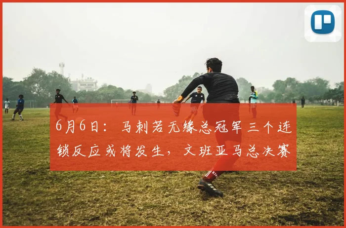 6月6日:马刺若无缘总冠军三个连锁反应或将发生,文班亚马总决赛首秀显不足_比赛_福克斯_1