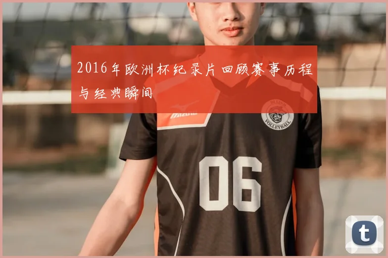 2016年欧洲杯纪录片回顾赛事历程与经典瞬间